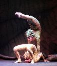 CirqueAfrique1.jpg
