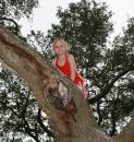 Climbing.jpg
