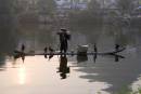 CormorantFisherman.jpg