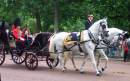DCP_0490.JPG