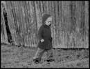 DSC00868.jpg