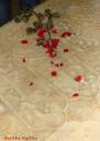 DSC03455a.jpg