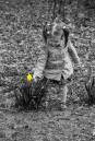 DSC_0038-Edit-2-2.jpg