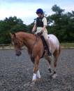 Epona_2a.JPG