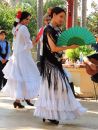 Flamenco_3_DSCN0897.JPG