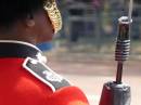 Grenadier_Guard.jpg