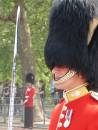 Grenadier_Guards.jpg