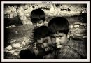 IMG_0994.jpg