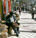 IMG_20191016_195034.jpg