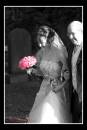 IMG_3357-01.jpg