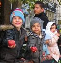 IMG_4914b.jpg