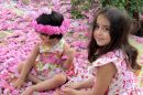IMG_5558b.jpg