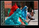 IMG_7542-01.jpg