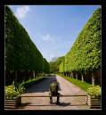 IMG_8087-Edit-2.jpg
