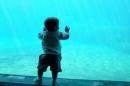 James_at_the_Aquarium.jpg