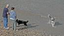 On_The_Beach_-_0067.JPG