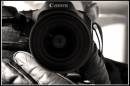Picture_041_1_copyreduced.jpg