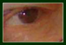 Picture_071_SOFT_SNAP_EV_MINUS_0_3_C.jpg