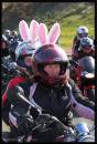Pink-Ears.jpg