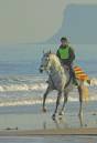 Rider_on_the_Beach.jpg