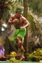 Samoa_fighter.jpg