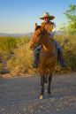 Scottsdale-12496a_web.jpg