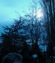 Test_979_PROGRAM_NORMAL_W_B_HOUSELIGHT_C.jpg