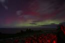 Watching_the_Aurora_at_Dunluce_800.jpg