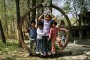 circle_of_friendship.jpg