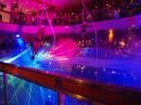 day_149_copyright.jpg