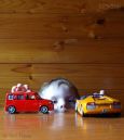 day_225_Lachlan_cars_r.jpg