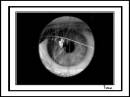 eye_spy_finished.jpg