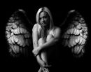 grey-cwings-black.jpg