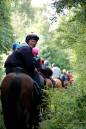 horsey4.jpg