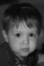 seth-wp-1.jpg
