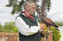 the_falconer.jpg