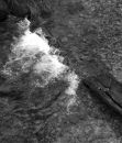 001_B_SX_60_PROG_CURVES_STUDY_off_WHITE_AND_GREY_WATER.jpg