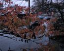 001_Rainy_Day_EDIT_-_H_and_S_-_MINUS_4_ENHANCE_TOOLS.jpg