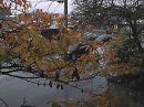 001_Rainy_Day_HUE_SATURATION_UNSHARP_MASK_-_INCREASE_DEFINITION.jpg