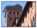 001_lucca.jpg