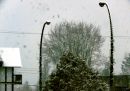 002_60_PRO_M_CURVES_STUDY_WORKING_WITH_TREES_and_SNOW.jpg