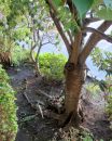002_HDR_C_PERFECTLY_CLEAR-DETAILS.jpg