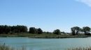 002_S3_IS_ALL_AUTO_SMART_PHOTO_FIX_-_BASED_ON_GRAY_SCALE_CARD_VALUE_6_IONA_PARK.jpg