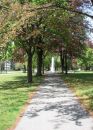 002_S3_SELECT_FOCUS_on_CLOSEST_TREE_in_FRONT_of_CENOTAPH_6_X_4_286.jpg