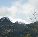 002_SX_60_SQUAMISH_RULER_CALIPER_MEASURED_to_TWO_and_QUATER_INCH_all_FOUR_SIDES.jpg