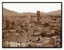 002_lucca.jpg