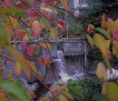 003_ALL_AUTO_West_1st_N_V_EDIT_-_INSTANT_EFFECTS.jpg