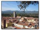 003_lucca.jpg