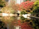 004_POND_on_WEST_1st_EDIT_-_EFFECTS_PERFECTLY_CLEAR.jpg