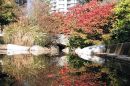 004_POND_on_WEST_1st_PERFECTLY_CLEAR_-_LANDSCAPE.jpg